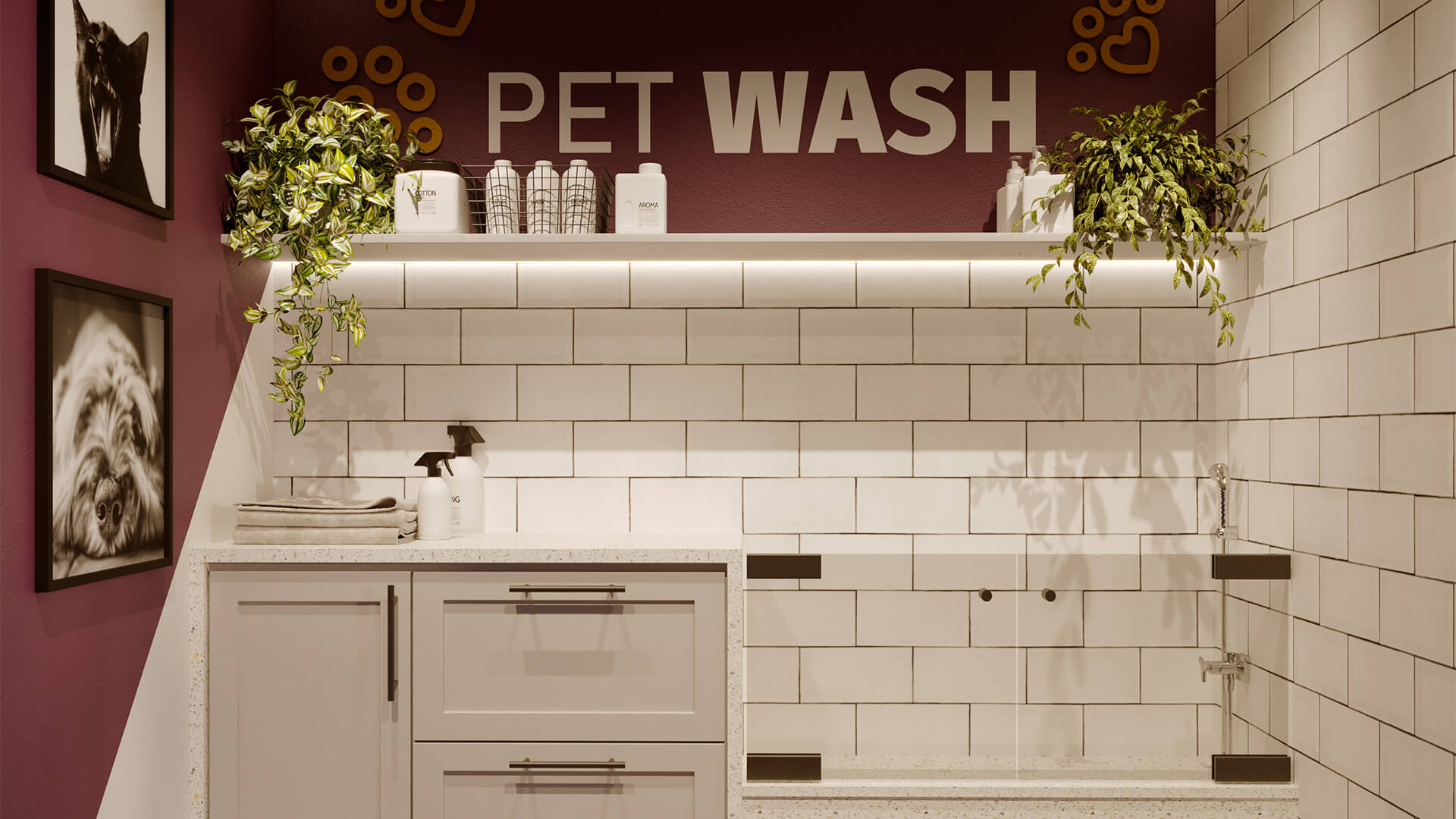 Pet Wash